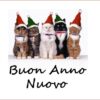 BUON 2015 DA AMICA FM