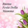 Auguri a tutte le Mamme !!!