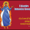 8 Dicembre, festa Immacolata Concezione. Auguri da Amica FM