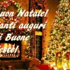 Auguri!