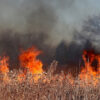 Incendi a Bivona, evacuate venti famiglie.